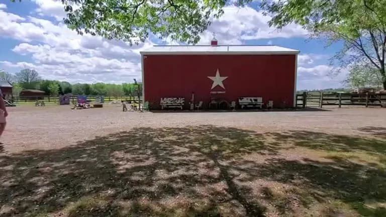 Dominic's Farm
